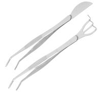 Angoily Ensemble de 2 Outils pour Bonsaï en Acier Inoxydable Argenté, Pince à Épiler de Précision et Râteau Antirouille pour Plantation de Plantes en Pot