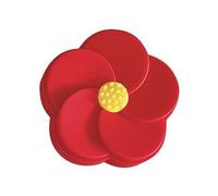 Angoily Étui Portable pour Lentilles de Contact de Fleur Rouge, Léger et Pratique Miroir Intégré, pour Voyage et Transport Votre Paquet