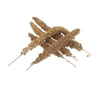 Angoily Friandises pour Oiseaux Millet Séché Naturel 500g Épis Entiers Alimentation Perruches Calopsittes Inséparables Entraînement Santé