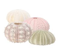 Angoily Lot de 4 pots créatifs - Motifs : oignons colorés - Tillandsia, plantes - Tillandsia, oignons - Décoration pour maison et bureau