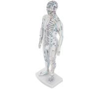 Angoily Modèle D'acupuncture Traditionnelle Chinoise Homme Blanc Marquages Précis des Points D'acupuncture en Plastique pour Apprentissage et Démonstration à Domicile