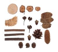 Angoily Ornements en Bois Naturel de Forêt Pommes de Pin Rustiques et Branches, Kit Vintage pour Décoration D'intérieur et Accessoires Photo Faciles à Assortir