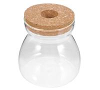 Angoily Terrarium Micro-Paysage en Verre, Bocal Décoratif pour Plantes | Conteneur Écosystème Transparent, Base en Bois, pour Bureau et Chambre, Affiche Billes, Graviers Aquatiques
