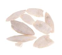 Angoter 1 Sac Cuttlebone Seiche Sepia seiche Nourriture pour Oiseaux Calcium Pickstone Animaux(3-4cm)