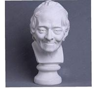 Angoter Voltaire Buste Statue Résine François Marie Arouet artisant Bureau Hôtel Salon Décoration Ligne Dessin Teaching Aids
