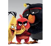 Angry Birds (Characters 60 x 80 cm Toile Imprimée