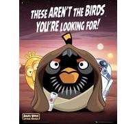 Angry Birds - Mini-affiche - Star Wars - Droids