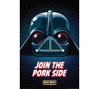 Angry Birds - Poster - Star Wars - Rejoignez le côté du porc