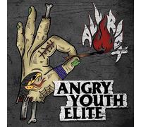 Angry Youth Elite All Riot (CD)