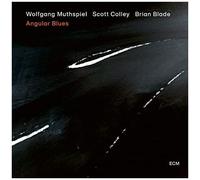 Wolfgang Muthspiel, Scott Colley & Brian Blade – Angular Blues – CD – Neuf – Verve Spa