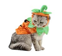 ANIAC Costume de citrouille pour animal domestique avec chapeau d'Halloween et cape - Poncho pour chiot, chien de petite et moyenne taille
