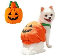 ANIAC Costume de citrouille pour chien et chat - Vêtements amusants pour chiots et petits chiens - Accessoires de fête pour animal de compagnie - Clohes orange, taille L