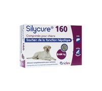 ANIDEV Silycure 160 - Aliment complémentaire Soutien Fonction hépatique Chien - Silybine Chardon Marie - Comprimés appétents quadrisécables - 75 comprimés