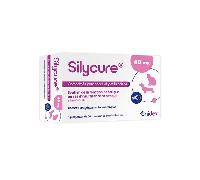 Anidev – Complément alimentaire Silycure 40 mg – Apport silybine – Pour chien et chat – Boîte 5x30cps