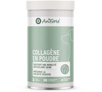 AniForte Collagène en Poudre pour Chiens 250 g - Collagène de Poisson pour Articulations, Tendons et Ligaments - Soutien Naturel de la Mobilité
