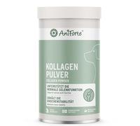 AniForte Collagène en Poudre pour Chiens 250 g - Le collagène de Poisson soutient Les articulations, Les tendons et Les ligaments - Produit Naturel pour la Fonction articulaire et la mobilité