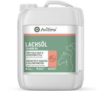 AniForte Huile de Saumon pour Chiens & Chevaux 5 L - Huile de Poisson Naturelle de Norvège Riche en oméga 3, Huile Premium, supplément Barf pour Chiens sans additifs
