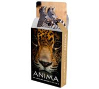 Anima - Cartes des animaux totems
