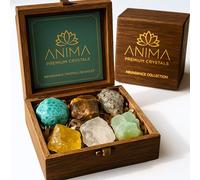ANIMA Coffret en Pierres Précieuses d’Abondance pour Prospérité, Chance & Succès - Cristaux Naturels Bruts: Citrine, Pyrite, Œil de Tigre, Aventurine, Amazonite & Quartz Clair - Boîte Cadeau en Bois