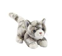 Chaton Joueur Gris