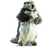 Anima peluches - peluche anima marmotte 25 cm G