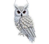 Animal 2D DIY PET Cristal Strass Art Pendentif Hibou Motif Double Face Suspendu Charme pour Décoration Murale Fenêtre