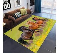 Animal 3D Cheval Tapis De Salon Grande Neiger Désert Lune Cheval Tapis De Chambre D'enfant Antidérapant Tapis Pour Couloir De Cuisine Tapis De Bain Paillasson Gameing Rug (Vert,80x120 cm)
