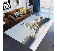 Animal 3D Cheval Tapis De Salon Grande Neiger Désert Lune Cheval Tapis De Chambre D'enfant Antidérapant Tapis Pour Couloir De Cuisine Tapis De Bain Paillasson Gameing Rug (Gris,160x200 cm)