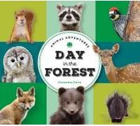 Animal Adventures: Day In The Forest