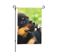Animal Animal Mignon Chien Chiot Rottweiler, 12 x 18 pouces Double Face Été Jardin Jardin Drapeau Extérieur