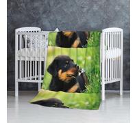Animal Animal Mignon Chien Chiot Rottweiler,Couverture Douce et Chaude en Flanelle Anti-Boulochage 76 x 127 cm