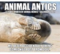 Willow Creek Press, Animal Antics Calendrier 2027 13,7 x 15,7 cm