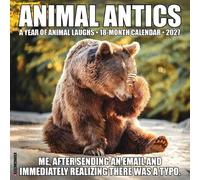 Animal Antics 2027 Wall