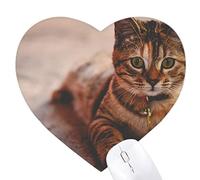 animal calme cat photo Jeux de tapis de souris en forme de coeur