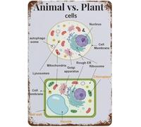 Animal Cells Plant Cells Structure Sublime Tin Sign 8 X 12 in | Artistic reference guide for botany zoology enthusiast home office