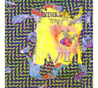 Animal Collective – Ballet Slippers – Vinyle 12" coffret gatefold Éd. limitée – Domino