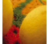 Animal Collective - Brothersport [Import]