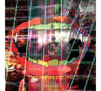 Animal Collective – Centipede Hz – Vinyle