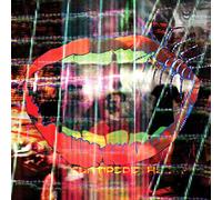Animal Collective – Centipede Hz – Vinyle (Import) – Domino Records