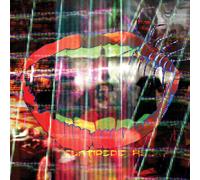 Animal Collective – Centipede Hz – Vinyle
