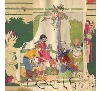Animal Collective - Feels [Vinyl Lp] Clear Vinyl, Purple, Anniversary Ed, Deluxe Ed, Digital Download