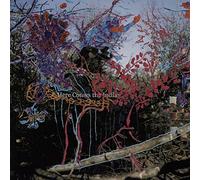 Animal Collective - Here Comes The Indian [Import]