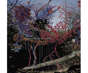 Animal Collective - Here Comes The Indian [Import]