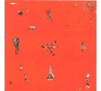 Animal Collective - Hollinndagain [Import]