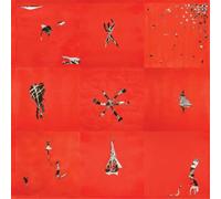 Animal Collective Hollinndagain (Vinyl) 12" Album