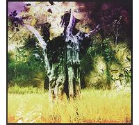 Animal Collective - Meeting of The Waters RSD 2017 [Import]