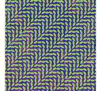 Animal Collective – Merriweather Post Pavilion – Import – Domino