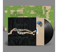 Animal Collective – Spirit They're Gone, Spirit They've Vanished – Vinyle 2LP (2023 Remaster)