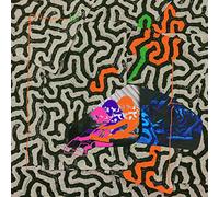 Animal Collective – Tangerine Reef – Import (Domino)