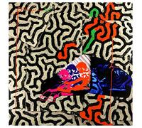 Animal Collective – Tangerine Reef – Import